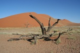 Namibia (40)